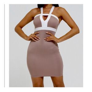 Colorblock Mocha Dress